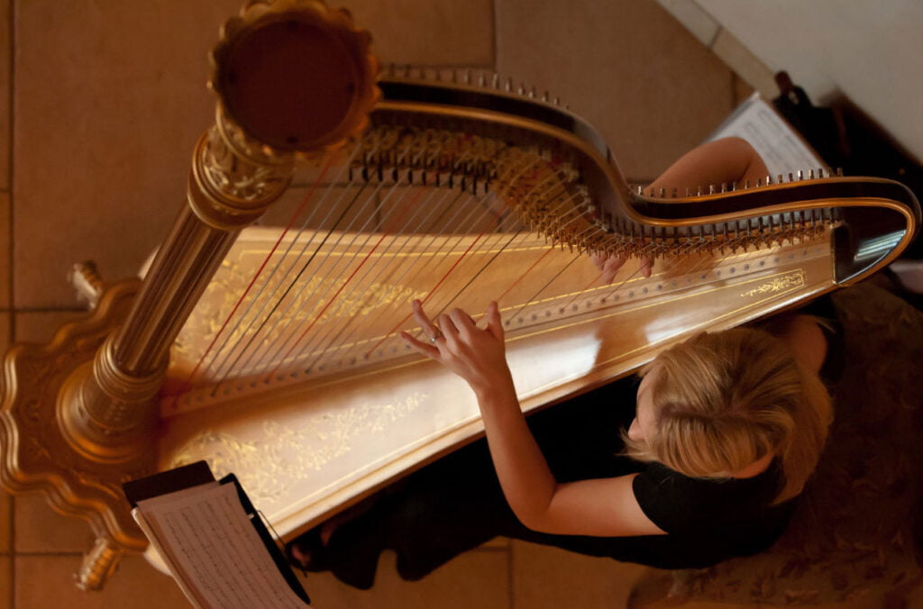 harp for reception